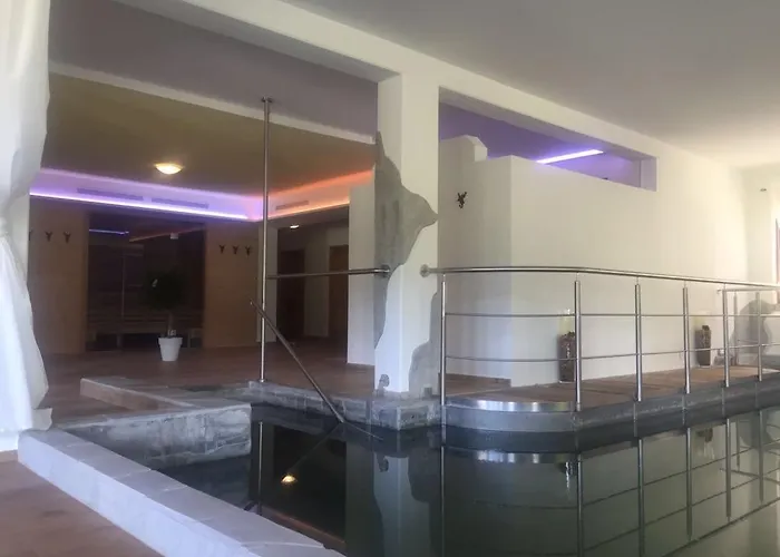 Restaurant Grune Au Hotel 4*