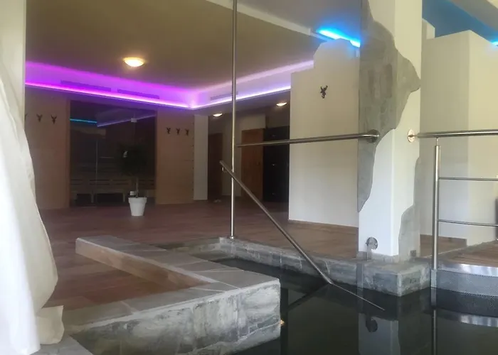 Hotel Restaurant Grune Au 4*